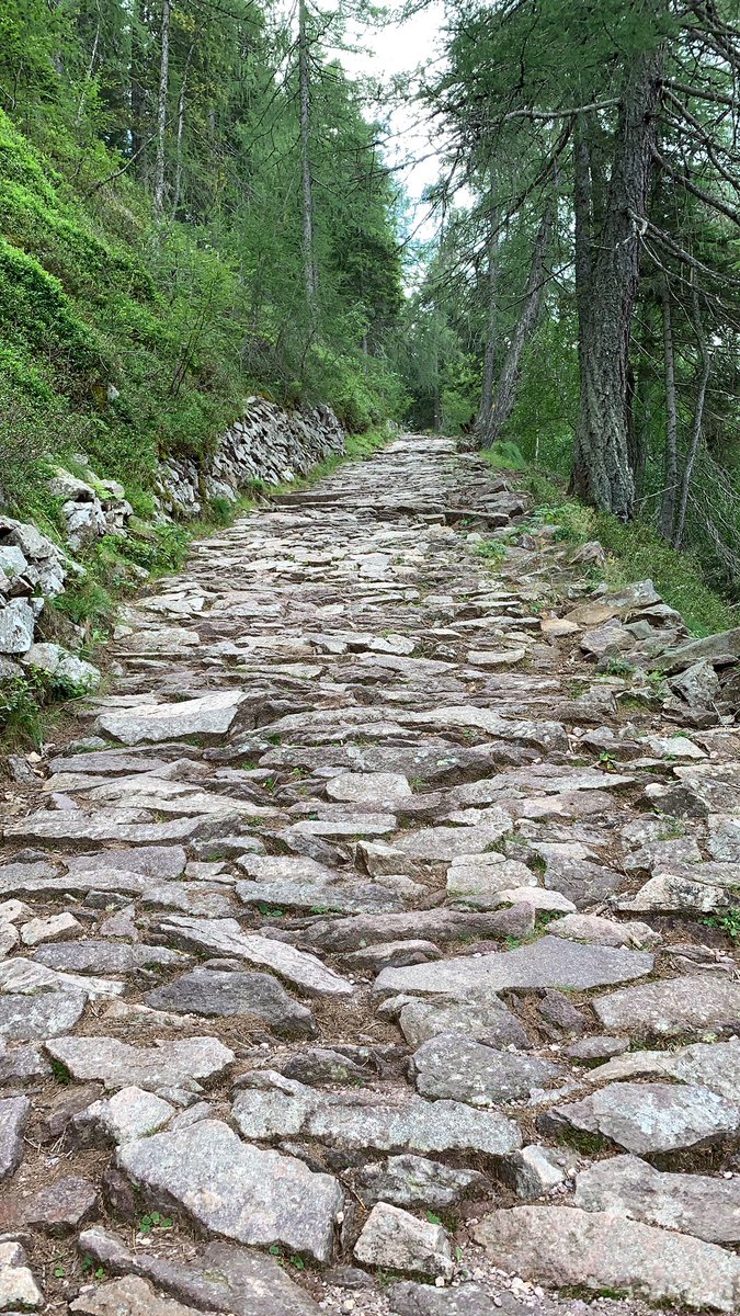 Ein steiniger Weg...