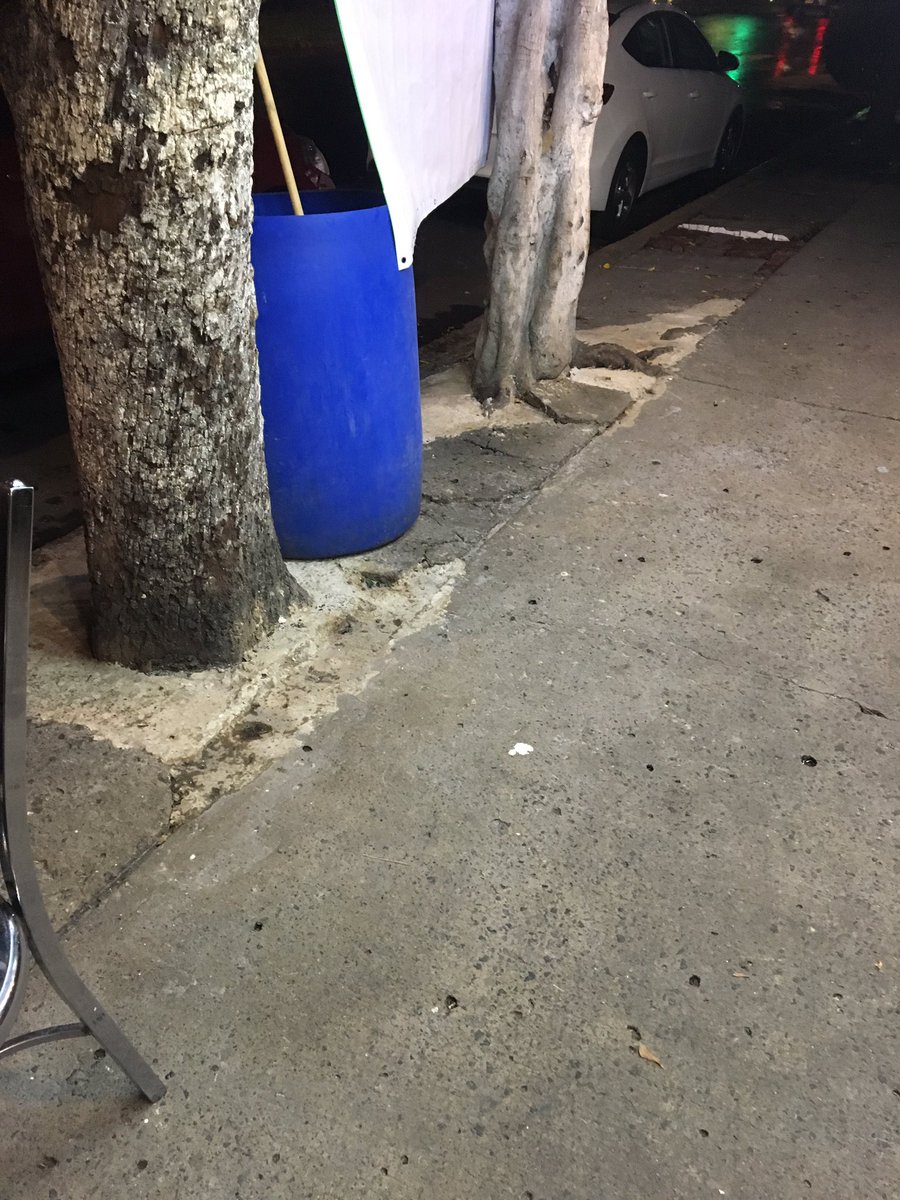 ‼️Taquerías Habanas‼️
Lo mismo que el local que se encuentra sobre Acoxpa, acabamos de constatar que también el nuevo local que se encuentra sobre avenidas de las Torres (dirección Méx- Xoch —>Acoxpa), tapa las jardineras de los árboles con cemento
#ecocidio #Coapa #Tlalpan #CDMX