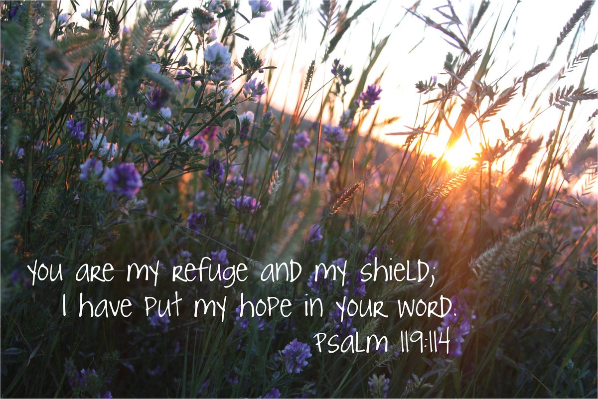 JesusWayof's tweet image. Refuge . . . #TheWayOfJesusChrist