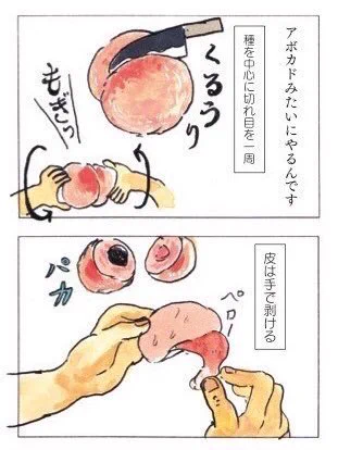 @kmngr 冷蔵庫に長くいれすぎないのとこれです 