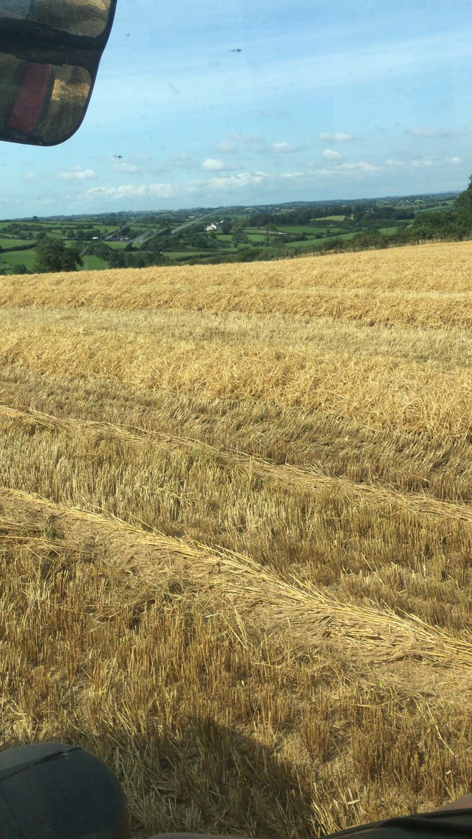Winter barley harvesting  today in usually dry conditions for us