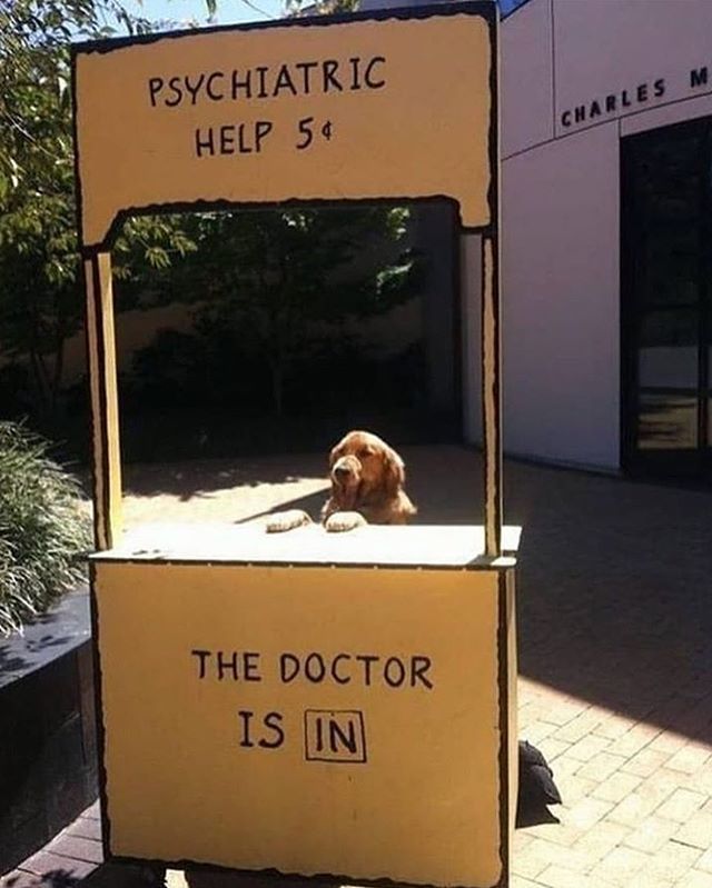 The dogtor is in!
 
You can access my courses here ➡️ buff.ly/2Y6TePh

#mindset #startup #success