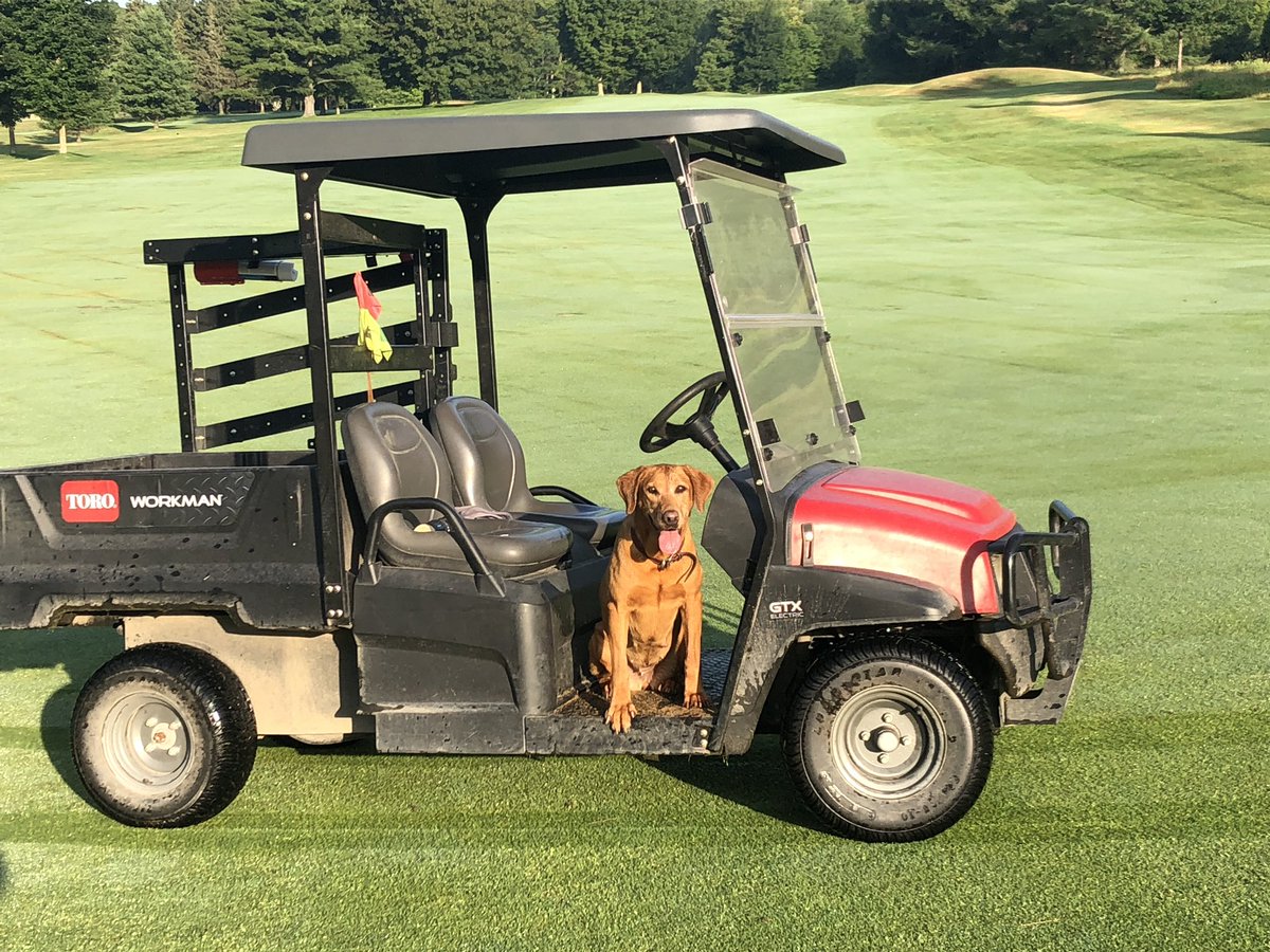 Mbccmaxime's tweet image. Day after day! she love it #turfdog