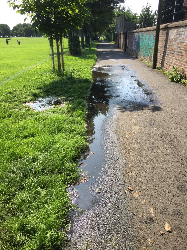 Edinburgh’s Disgraces tweet media