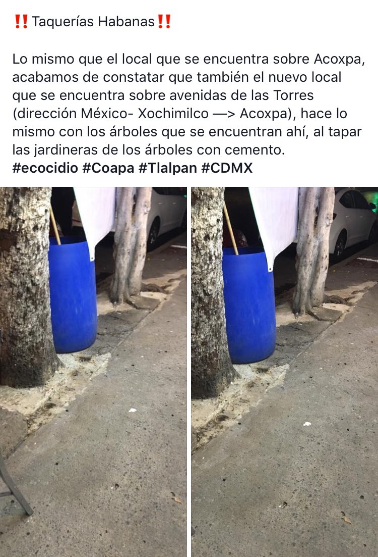 #SalvaLosÁrboles <a href="/mariana_boy/">Mariana Boy</a> todas las bases de los árboles que se encuentran enfrente de las taquerías Habanna’s en la zona de #Coapa #tlalpan #cdmx han sido tapadas con cemento, 
‼️podrán hacer algo al respecto para que no se sequen y se mueran⁉️ ccp <a href="/PAOTmx/">PAOT</a> <a href="/Claudiashein/">Claudia Sheinbaum Pardo</a>