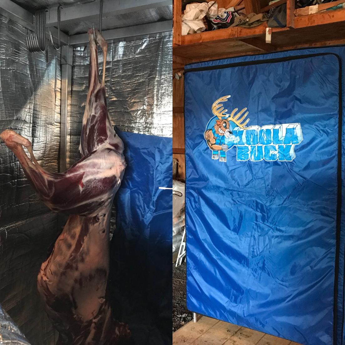 LoveoftheHuntTV's tweet photo. The inside and outside of the Koola Buck Pro. This is our favorite way to dry age our game meat! #LoveOfTheHuntTV #KoolaBuck https://t.co/IiepOHlvAh