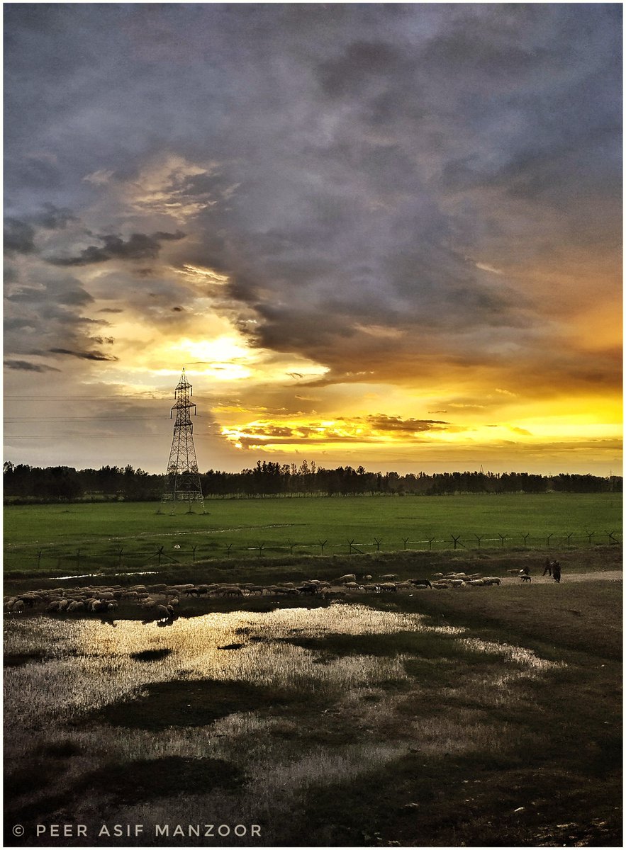 indiapicturesXL's tweet photo. RT @peerasifmanzoor: "Nothing can dim the light which shines from within." — Maya Angelou
Pic | Peer Asif Manzoor
#nature #earth #nationalgeographic #colors #clouds #sunset #naturephotography
#landscape #naturephotography #indianph #everydayasia #indiapi… https://t.co/Ea45JswdEW
