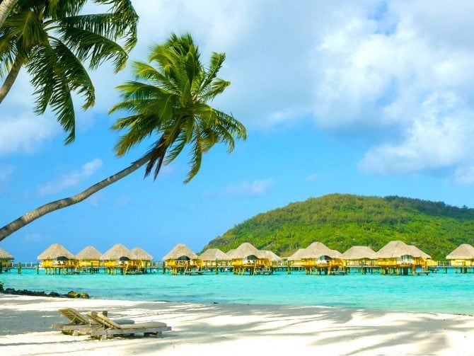 CruiseFanNation's tweet photo. Who doesn't love the orange and red colours of Autumn?
...But who doesn't love palm trees better? Click here: https://t.co/kxLa6E2lr1
9-Day Hawaiian getaway with Air from Vancouver for just $1,549 😍😍😍 https://t.co/9EnYkqWh4J