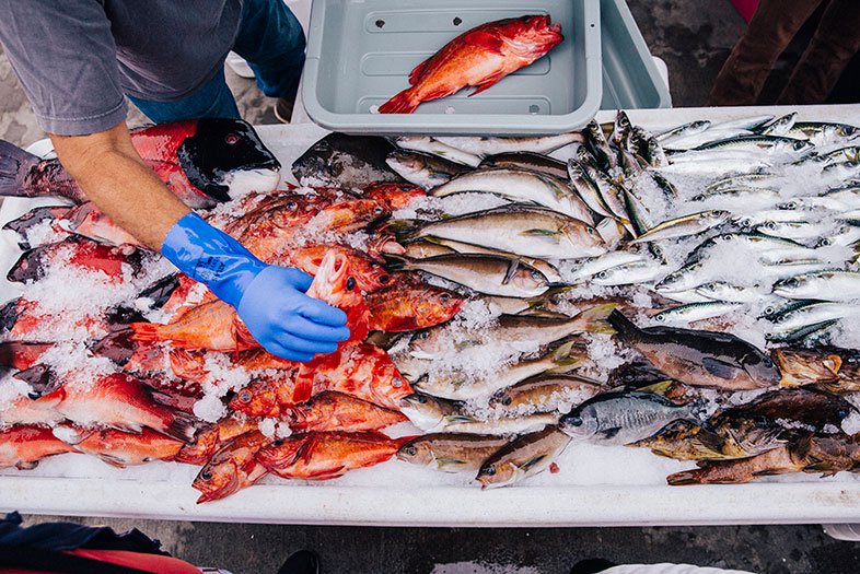 New from <a href="/SanDiegoMag/">San Diego Mag</a>:

A Deep Dive into the San Diego Fishing Industry 

sandiegomagazine.com/San-Diego-Maga… 

#SeaportDifferently