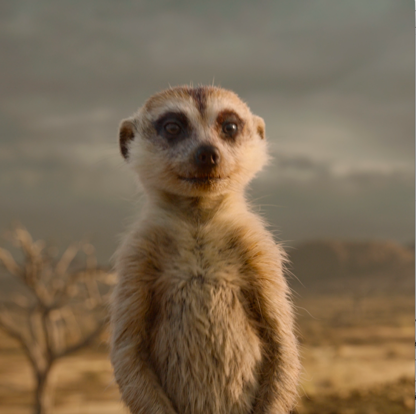 The Lion King on Twitter: The Lion King on Twitter: