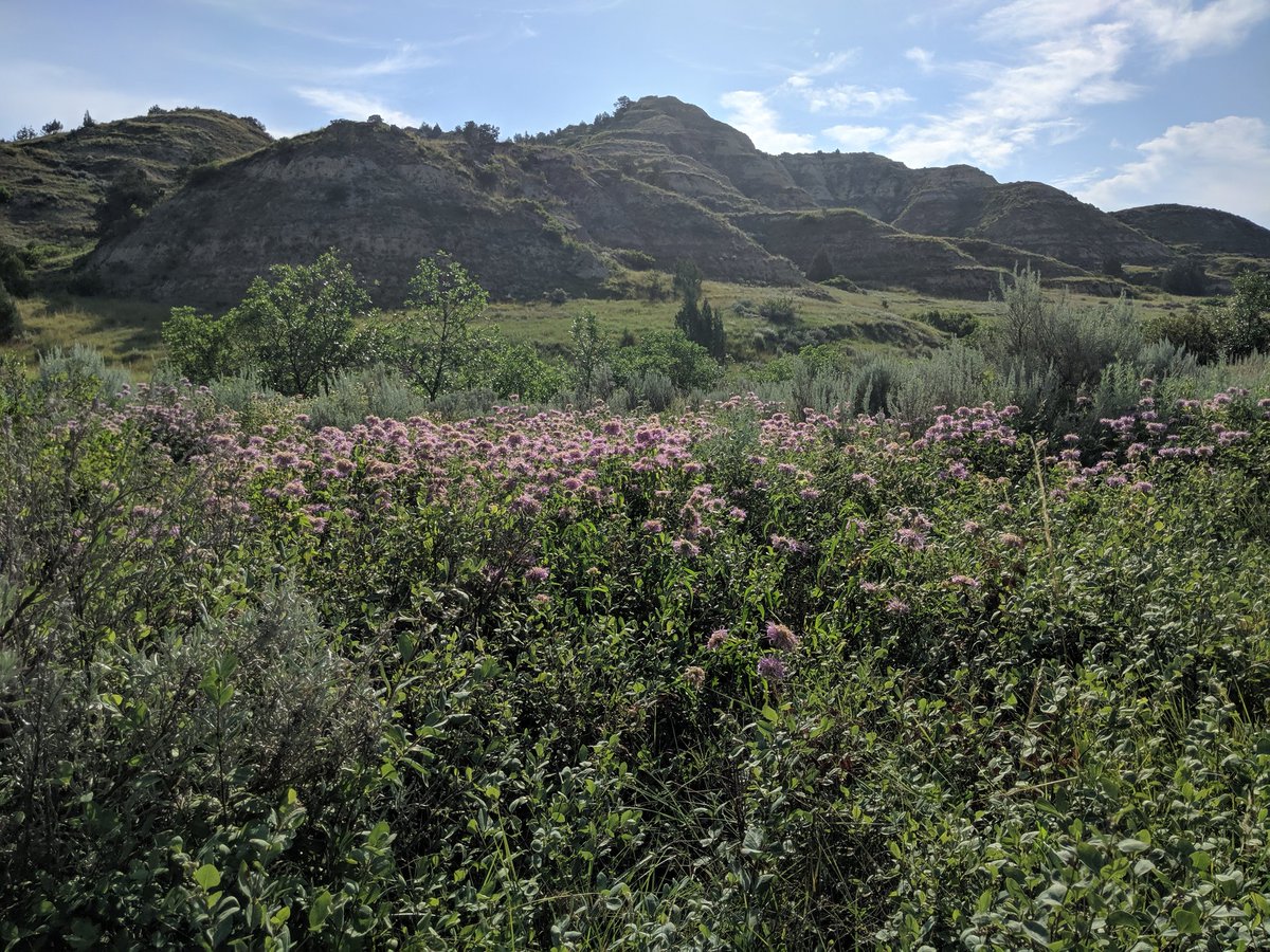 thudhead's tweet photo. @ColTedRoosevelt, visited your 'home ranch' at Elkhorn, North Dakota this morning.  Thank you for the great job you did protecting our public lands. https://t.co/DtrtYl5gpf
