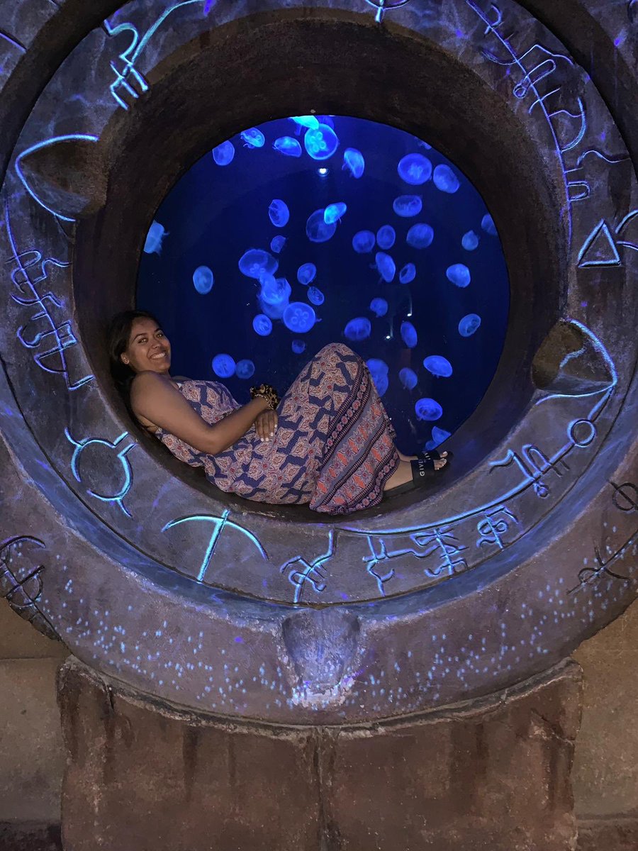 anjulal's tweet photo. @ATLANTIS #lostchambers best holiday ever #family #fun @AjDhawan11 Same time next year! xo https://t.co/dYluvx2bwM