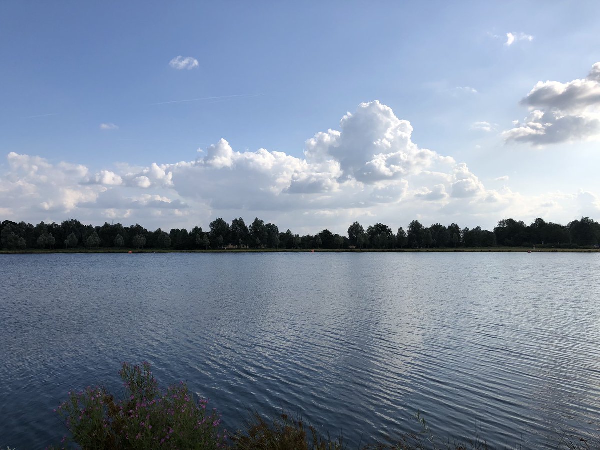 Chappers2013's tweet photo. An evening swimming training for #TeamBaloo at #TriFarm #Boreham 😎 @PBaloo https://t.co/zfXKeke9lb