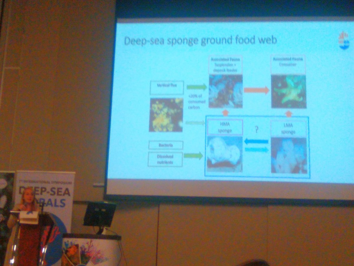 DSBSoc's tweet photo. Ulrike Hanz asks what are the food sources of an Arctic deep-sea sponge ground?  Their food doesn't appear to come from the surface... #ISDSC7 https://t.co/7AFoh1QL3X
