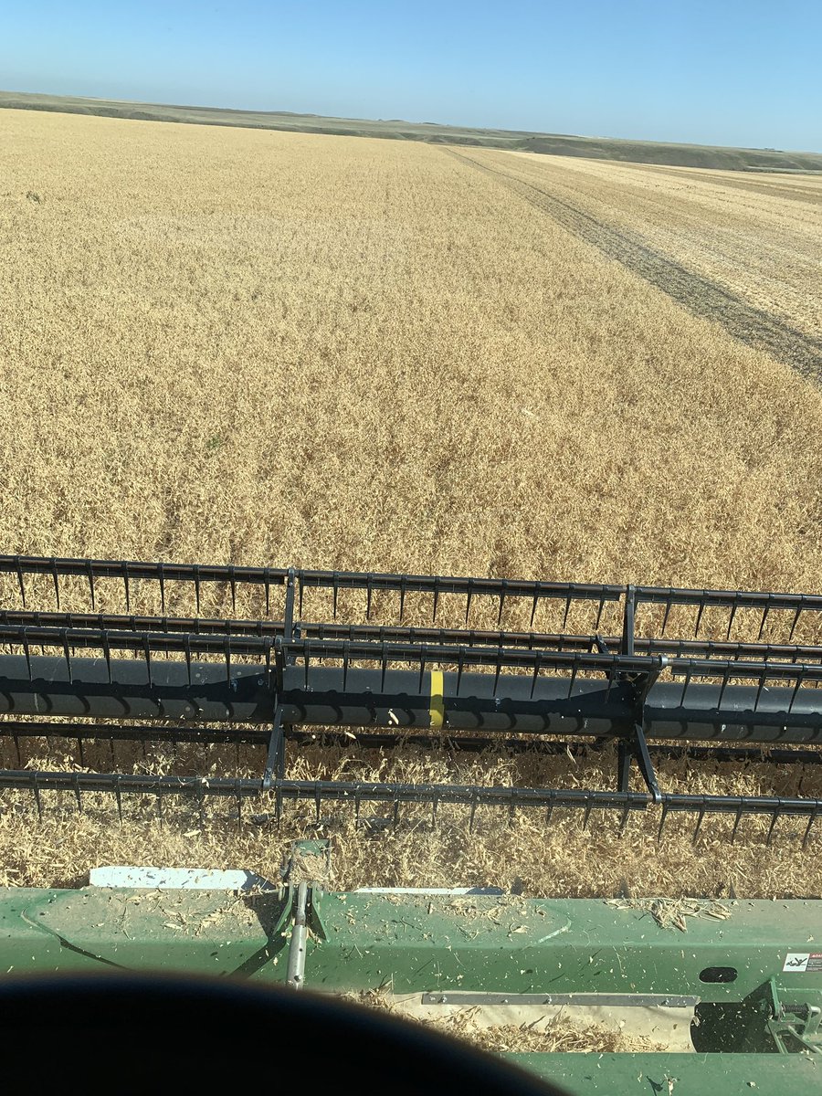 Kim Owen (@kim36733030) on Twitter photo 