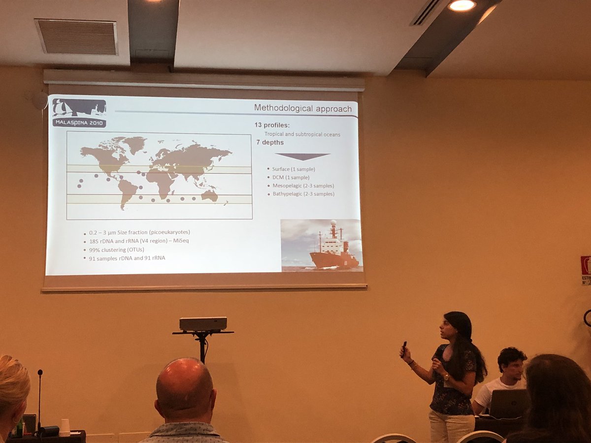 loglab_bcn's tweet photo. Picoeukaryote diverstity and activity along the global ocean water column presented today by #CaterinaRGiner @ICMCSIC @UBCoceans #malspina #ECOP19 https://t.co/qi9Dj02KUC