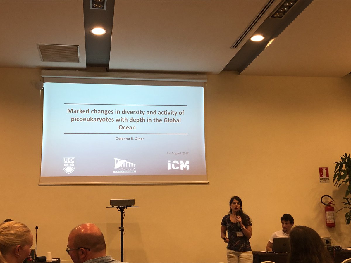loglab_bcn's tweet photo. Picoeukaryote diverstity and activity along the global ocean water column presented today by #CaterinaRGiner @ICMCSIC @UBCoceans #malspina #ECOP19 https://t.co/qi9Dj02KUC