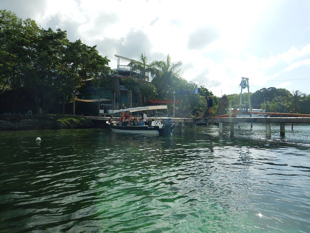 HGS_OpWall's tweet photo. #dive1 https://t.co/gHdg5lw7xz