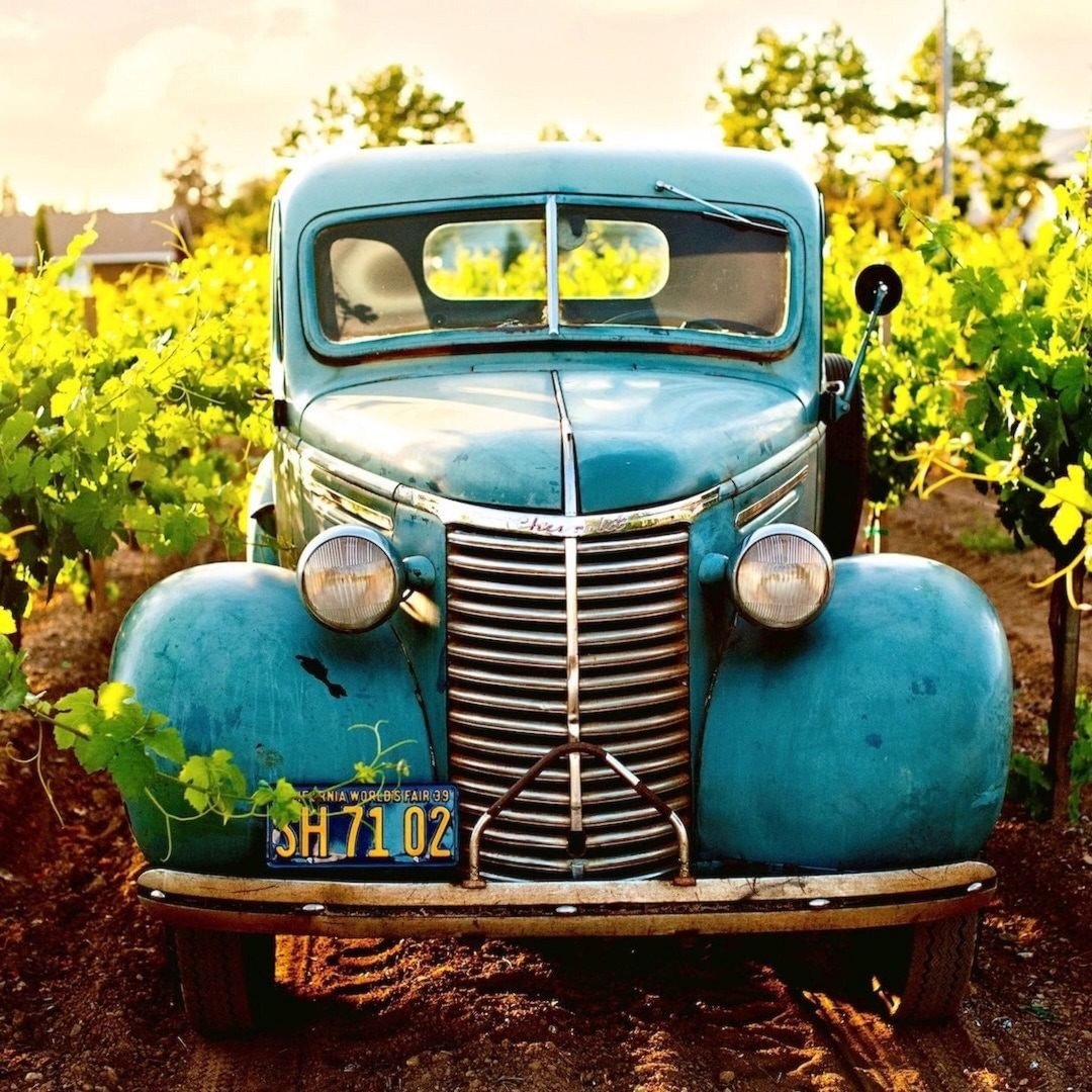 LATEST NEWS | Based on a <a href="/Decanter/">Decanter</a> article by <a href="/mercerchris/">chris mercer</a>, "A proposal to allow the new grape varieties into #Bordeaux and Bordeaux Supérieur appellation vineyards passed a key winemaker vote earlier this month, according to a statement from the wine union, or Syndicat.⁠"⁠