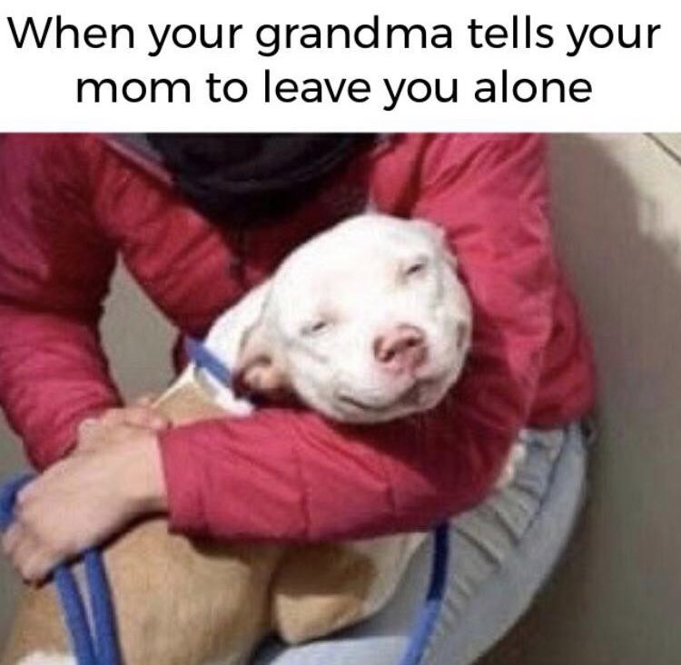 RespectfulMemes's tweet photo. https://t.co/HMhmtZO5fr