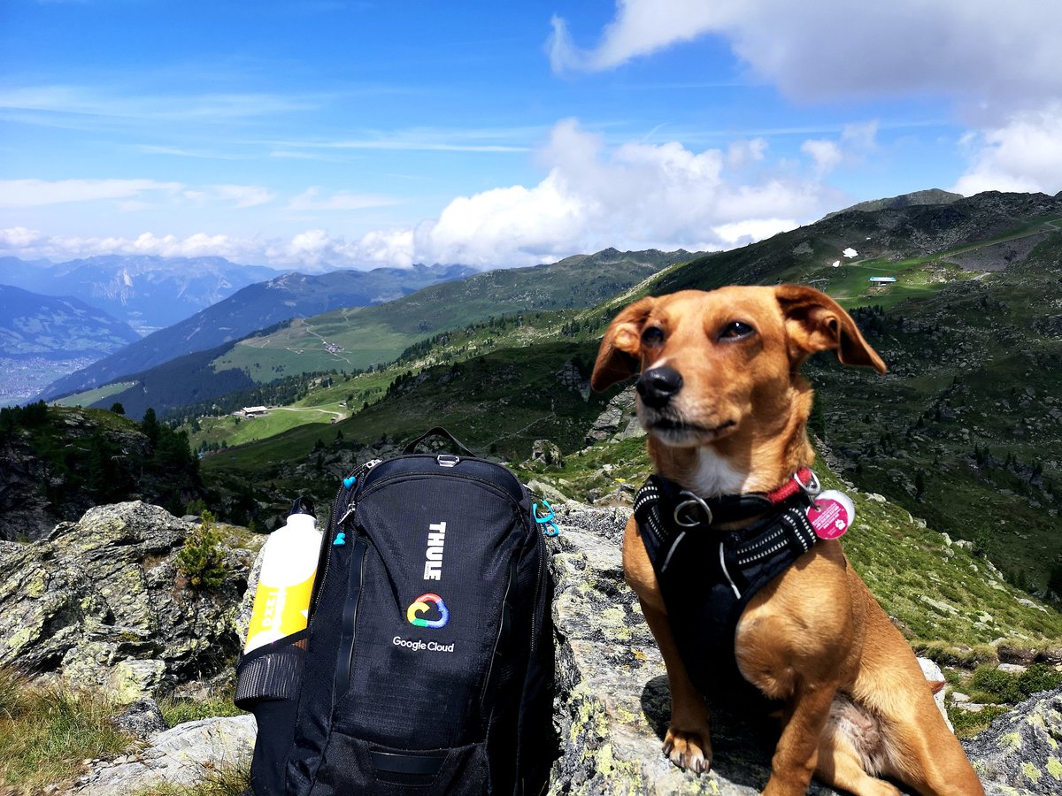 DACHFest tweet media