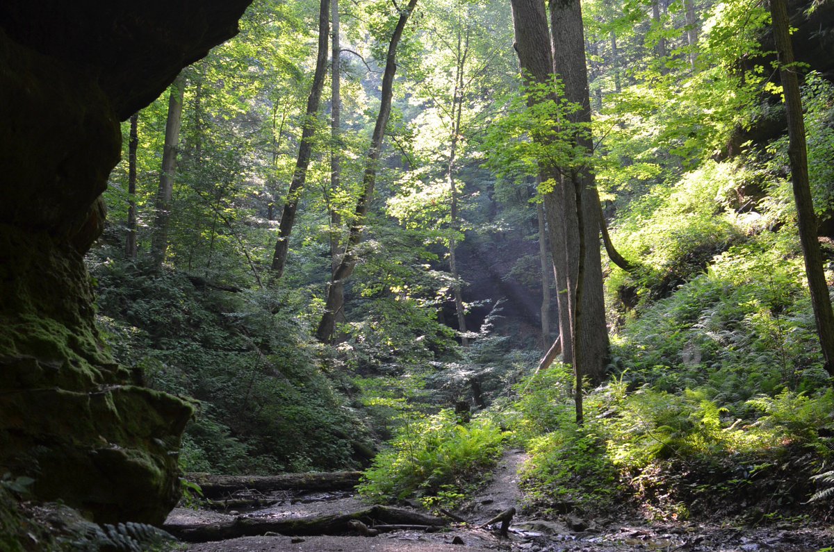 Shades State Park #6ravinechallenge