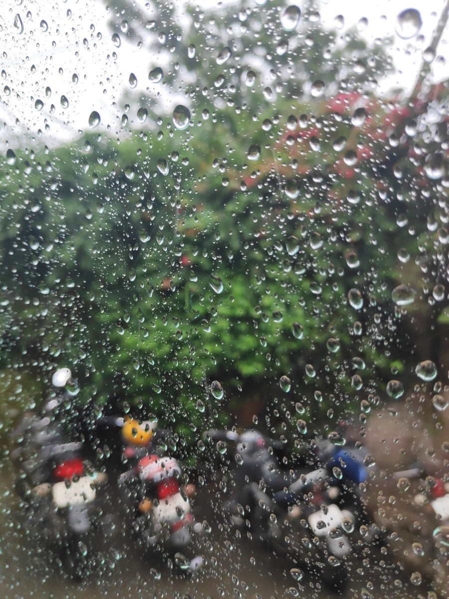 KalyaniMuktevi's tweet image. #monsoon through the #glasswindow #HyderabadRains
