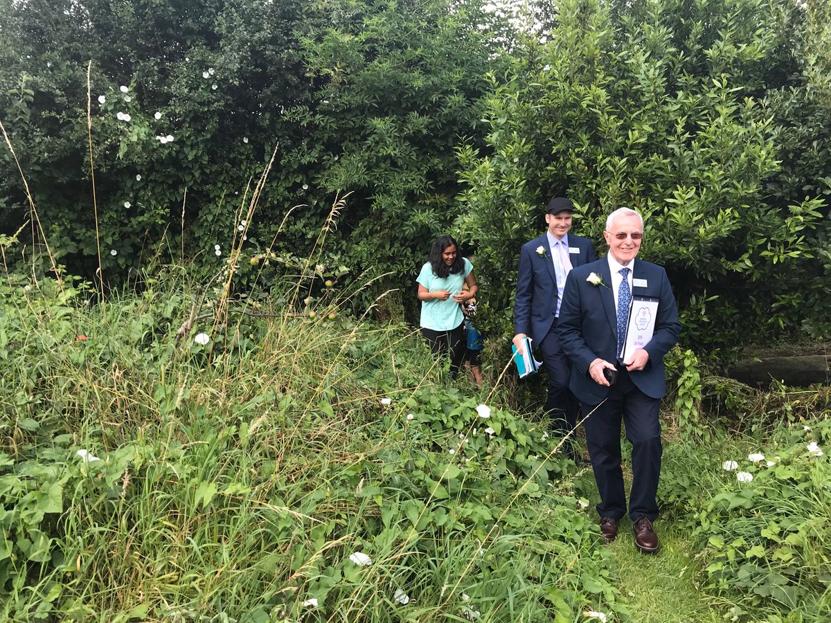 Harrogate in Bloom tweet media