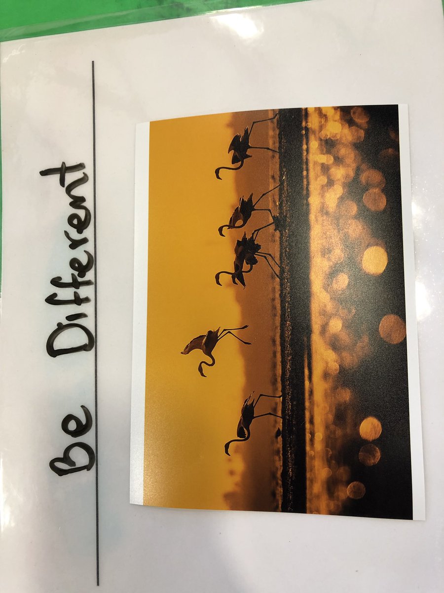 #SoyPirataFDP #RutinasExploradas vía <a href="/ColmenaresGdl/">Colmenares</a> las rutinas de pensamiento me ayudan a saber por donde puede ir un proyecto.