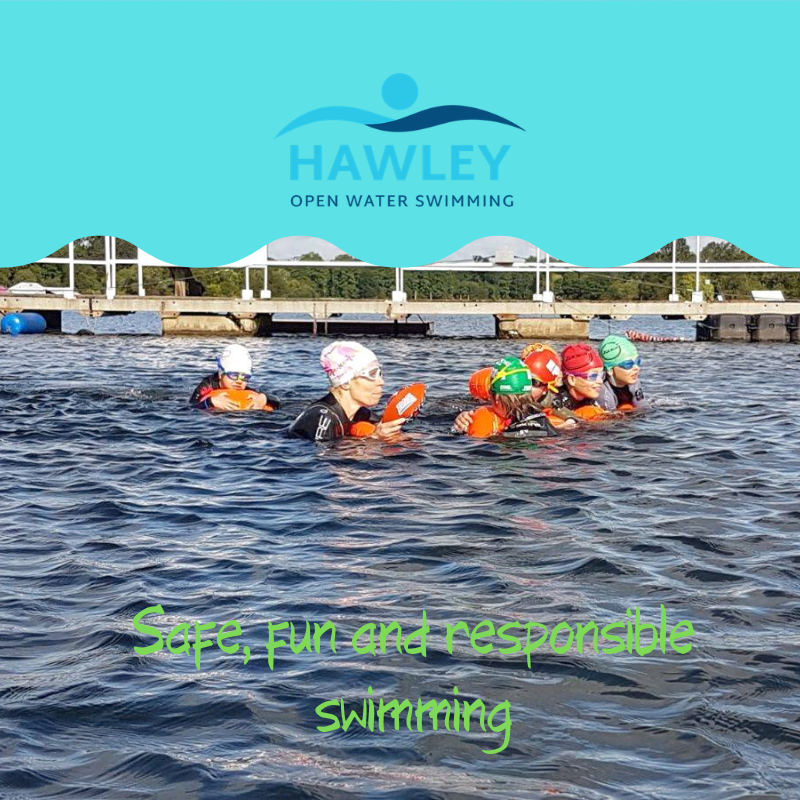 Hawley OWS tweet media