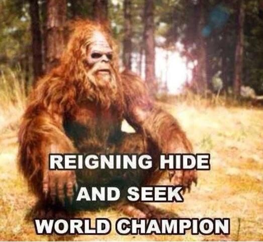 bigfoot best hide and seek
