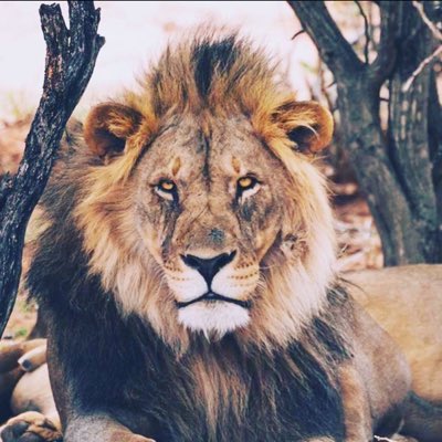 studygoodnow's tweet image. #NewProfilePic