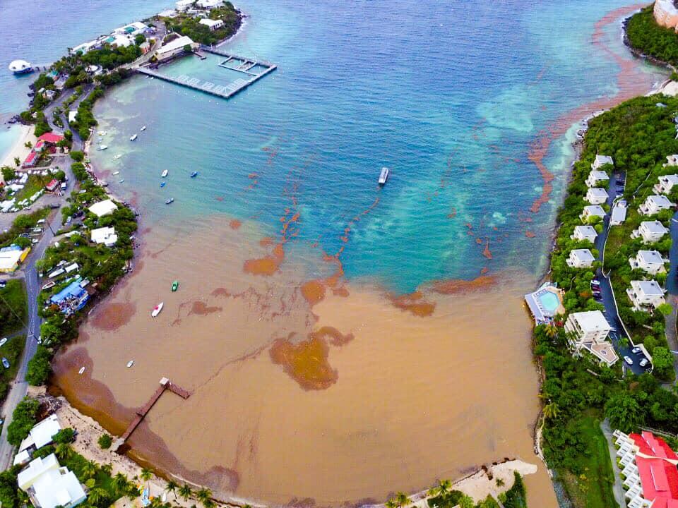 Sea Shepherd Op 404 tweet media