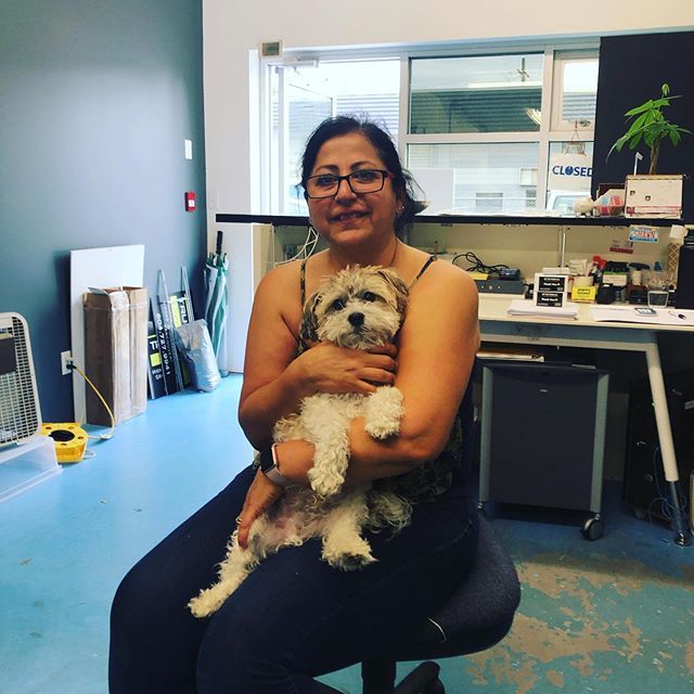 universal_ns's tweet image. Look whose visiting today . @dailyhenrydog ift.tt/2KiaV5t