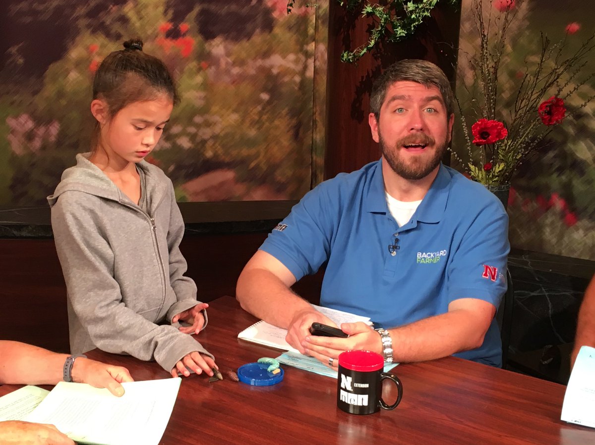 JodyBugsMeUNL's tweet photo. It all started when #pestfriend @bugmanjon (still Jonathan Larson, but he’s moved) gave my daughter hornworms from his last @BYFUNL show on June 27.
So, he being her favorite entomologist & hornworms being his parting gift, we had to keep them alive! https://t.co/GN7fwkflTm