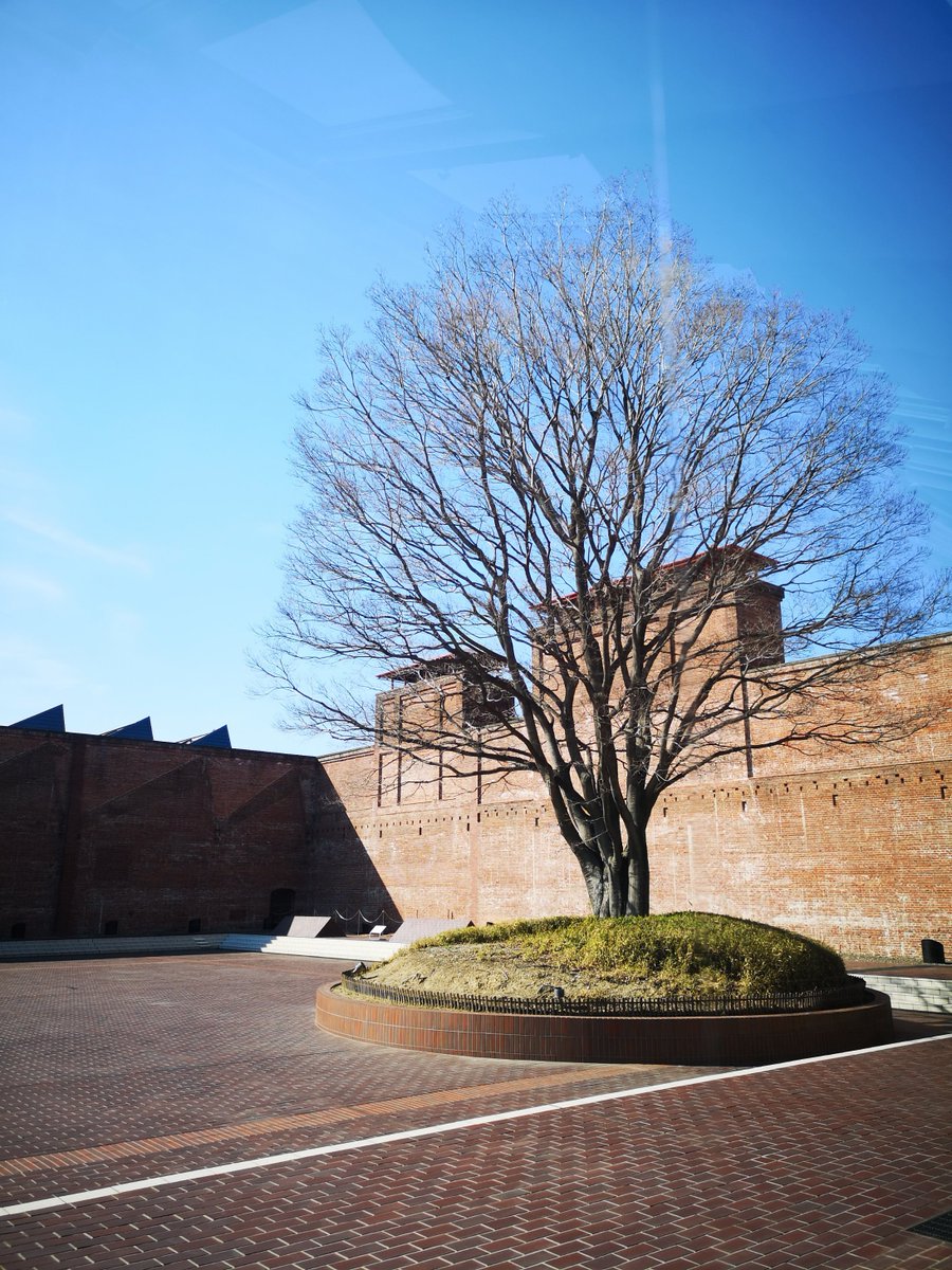 ¡Empezamos el mes de agosto! Este mes en el "Travel Issue" de Revista Aire viajamos a Japón para conocer su variada geografía y tradiciones. Eso y mucho más solo durante agosto a bordo de @aeromexico. 

🖋 y 📷 Cristina Alonso
🖍 Alejandra Otero

#RevistaAire #TravelIssue