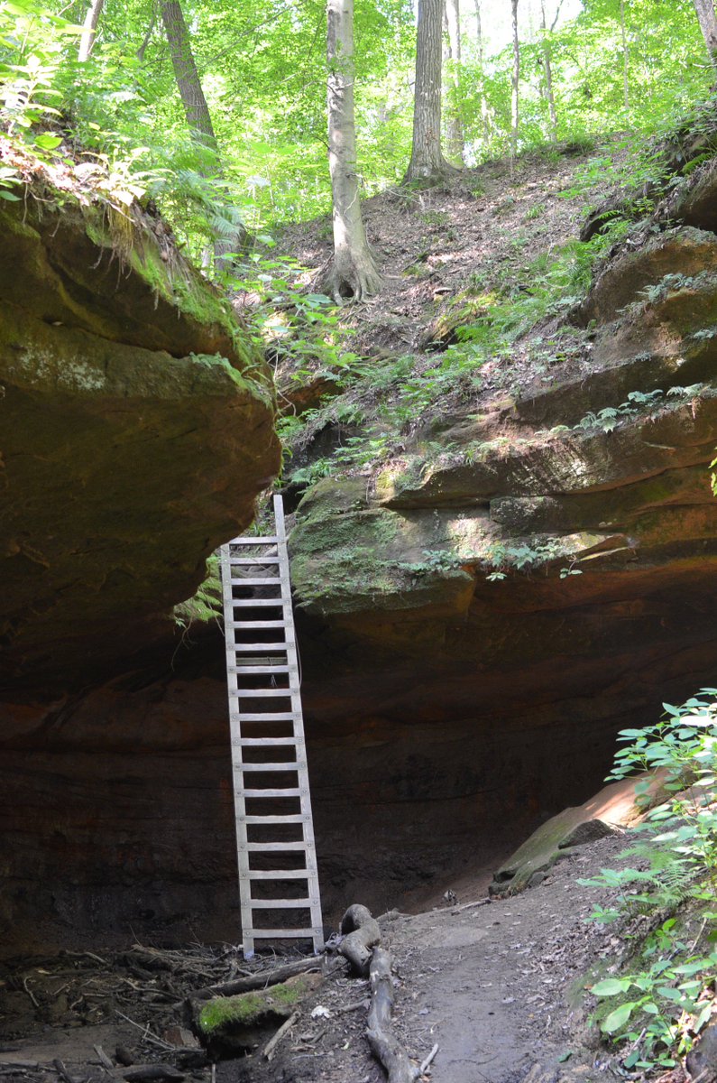 Shades State Park #6ravinechallenge