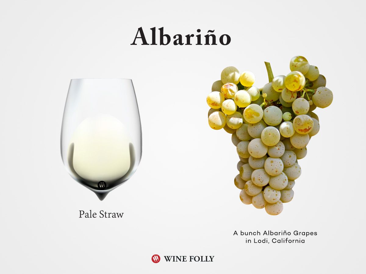 RT WineFolly: Happy #InternationalAlbarinoDay everyone! Albariño Day is celebrated on August 1st, taking place during the Albariño festival in the Galician town of Cambados in Spain. In fact, they celebrate all the way through the weekend! …