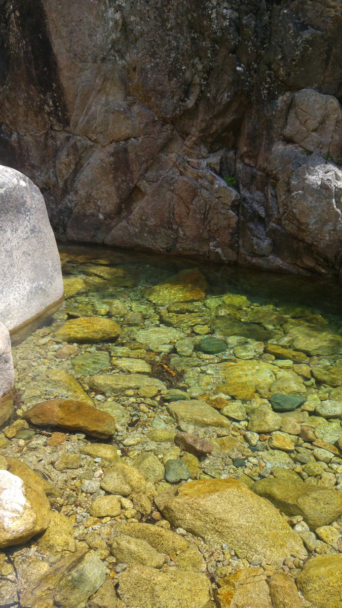 Daniele Penna tweet media