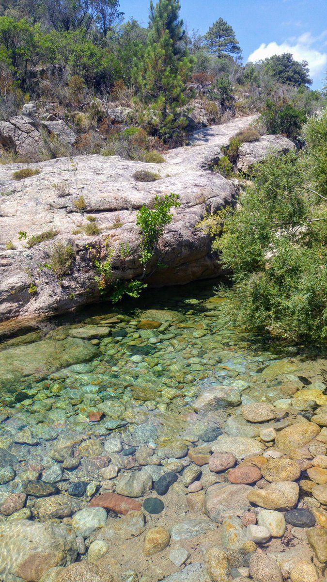 Daniele Penna tweet media