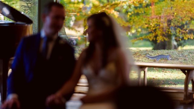shaneoneill77's tweet photo. its a nuttin' shot really #irishwedding
#TinakillyHouse
#aspectphotography
#irishwedding
#irishweddingphotographer
#weddingphotography
#weddingphotographer
#wedding
#onefabday
#irishweddings
#irelandweddingphotographer
#irelandwedding
#nikon
#nikonz7
#documentaryweddingph… https://t.co/JmhxK6euFf