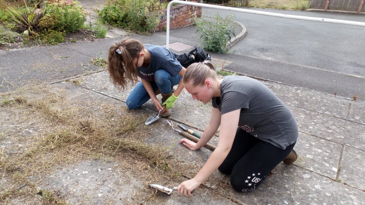 Seeds4Success tweet media