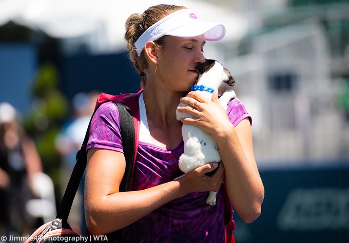 ELISE MERTENS - Página 3 EA6L28uUYAAvVKG?format=jpg&name=small