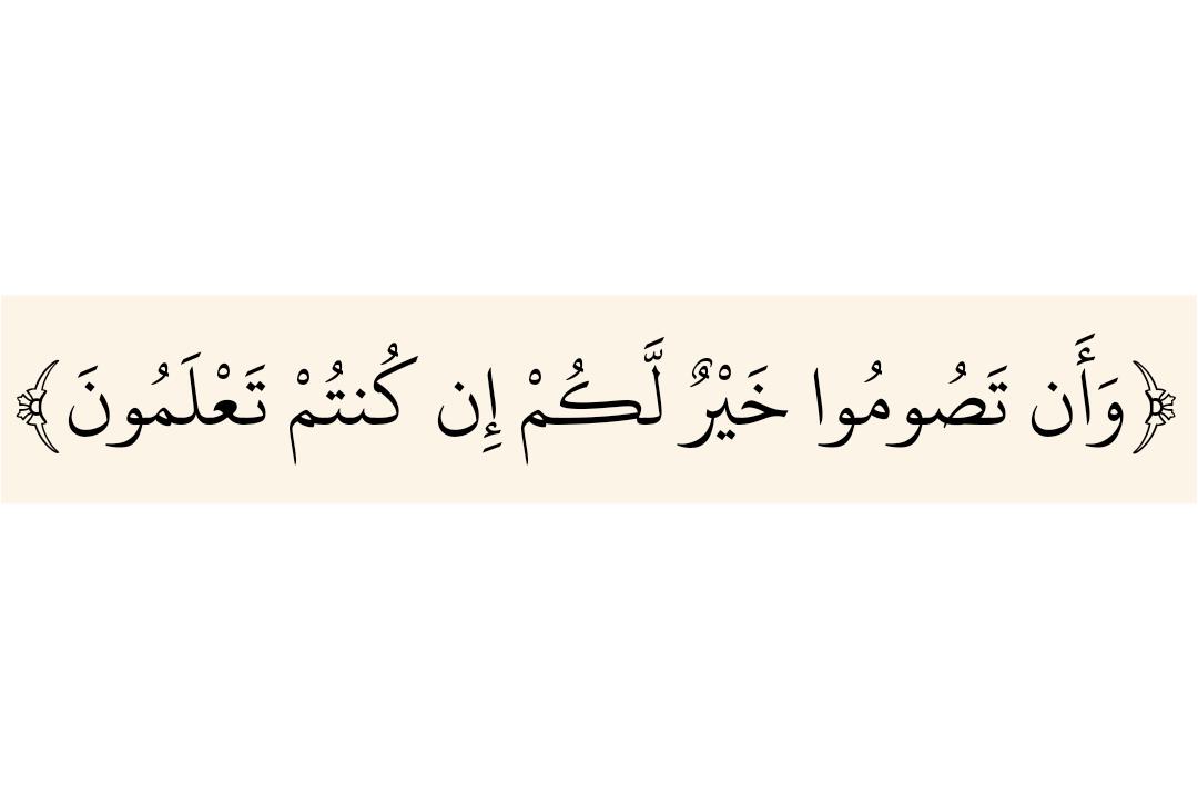 Attiaf22's tweet photo. …
ã https://t.co/TDbRgQ6dl1