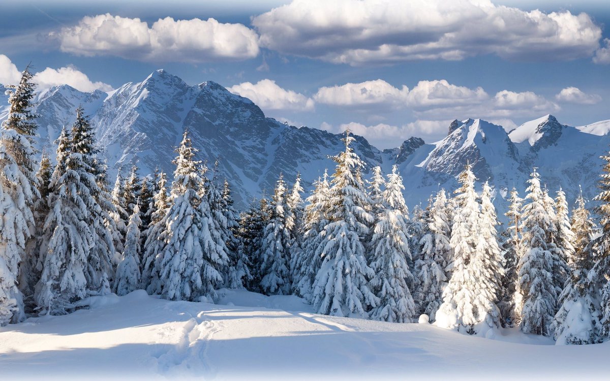 _CalmCollected_'s tweet image. ⋆ 𝘔𝘢𝘵𝘶𝘳𝘦/𝘉𝘢𝘯𝘵𝘦𝘳 𝘛𝘩𝘦𝘮𝘦𝘴 ⋆

               ⋆ 𝘚𝘦𝘦𝘬𝘪𝘯𝘨 𝘔𝘢𝘪𝘯𝘴 ⋆

                ⋆ 𝘍𝘳𝘪𝘦𝘯𝘥𝘭𝘺 𝘔𝘶𝘯 ⋆

         ⋆ 𝘍𝘶𝘳𝘵𝘩𝘦𝘳 𝘋𝘦𝘵𝘢𝘪𝘭 𝘉𝘦𝘭𝘰𝘸  ⋆

⋆ 𝘋𝘮𝘴 𝘖𝘱𝘦𝘯—𝘗𝘭𝘰𝘵𝘵𝘪𝘯𝘨/𝘊𝘩𝘢𝘵𝘵𝘪𝘯𝘨 ⋆