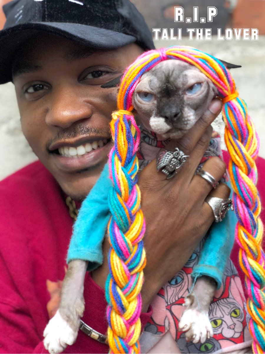 Today I lost the love of my life due to heart failure. Tali The lover, she was the mom to my other two cats Queen Sushi and MegaMam. I feel lost, depressed and a part of me has died today with her. If we made you smile before please show love. Cat family im lost. #RipTaliTheLover