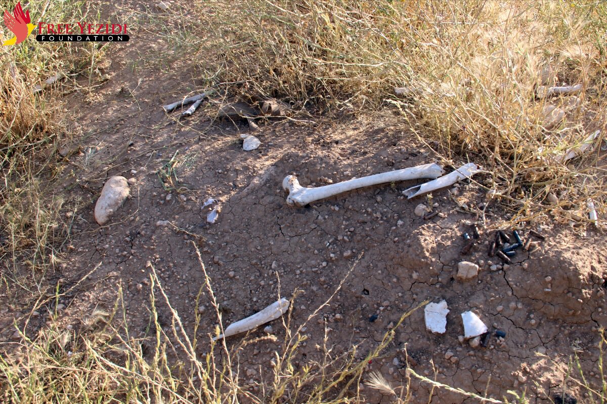 janfigel's tweet photo. #Remember3August, 2014: genocide of Yezidis &amp; other minorities in Iraq by ISIS started. We must work 4justice 4all. https://t.co/JuoSnxd5FO
