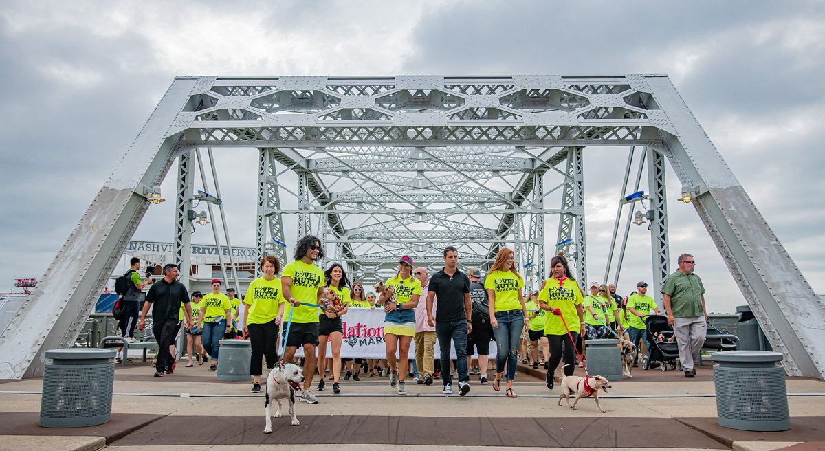 MuttNation's tweet photo. #tbt to this yearโs #MuttNationMarch! Whoโs still wearing their @dogisgood t-shirt?? ๐ If you missed them the first time around, yโall can get one of these shirts at https://t.co/t3ffTKd0Pl. Use discount code MUTTNATION for 15% off your order ๐พ #lovethemuttyourewith https://t.co/NqsLrkaNQG