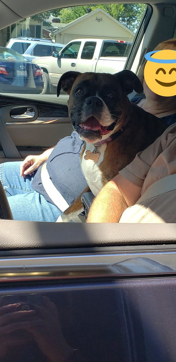 This is Annie Oakley, shes 5 years old, and she likes playing soccer. 13/10 I hope she goes pro.