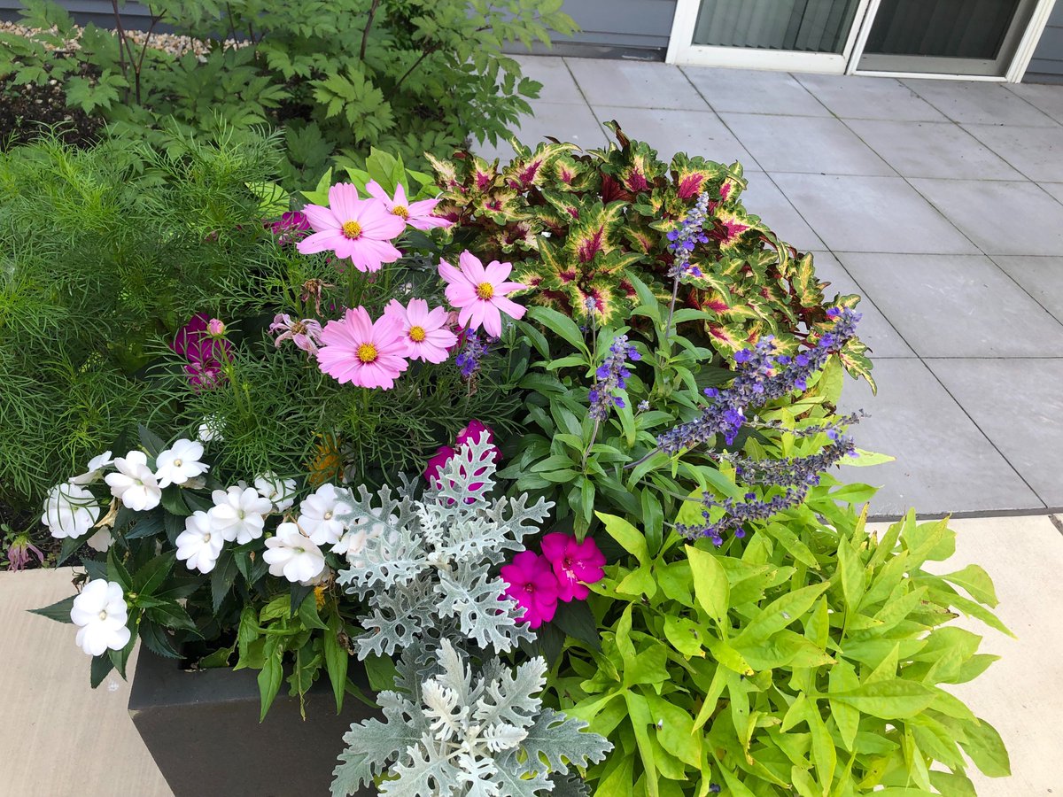 RE150Boston's tweet photo. Happy August 1st🌼 #flowers #courtyard #patio #medford #bostonapartments https://t.co/yHnd3tq8th